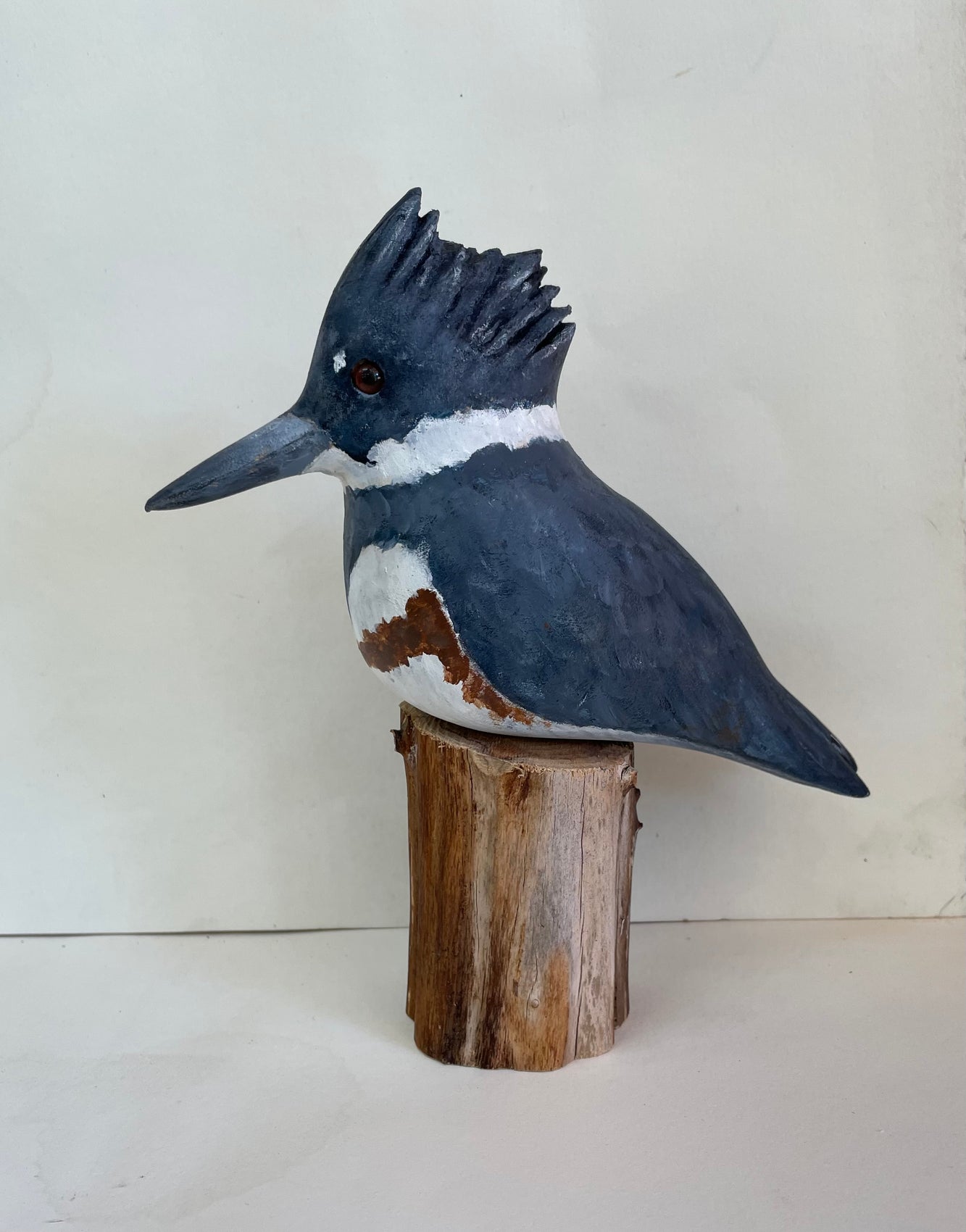 Female Belted Kingfisher