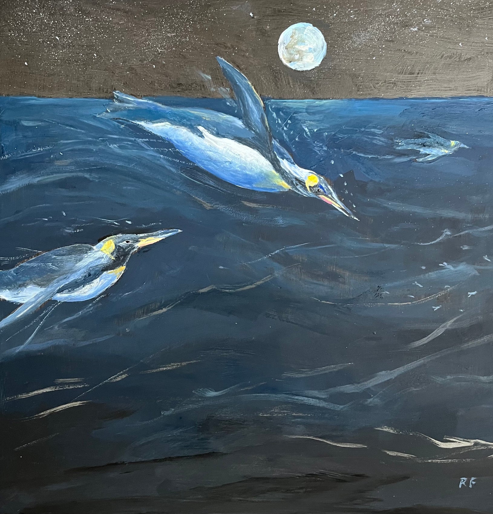 Moonlight Swim