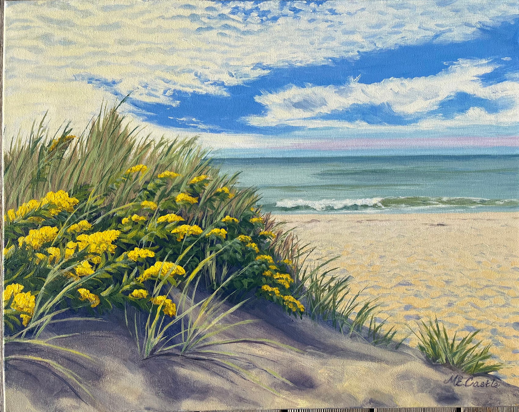 Seaside Goldenrod 