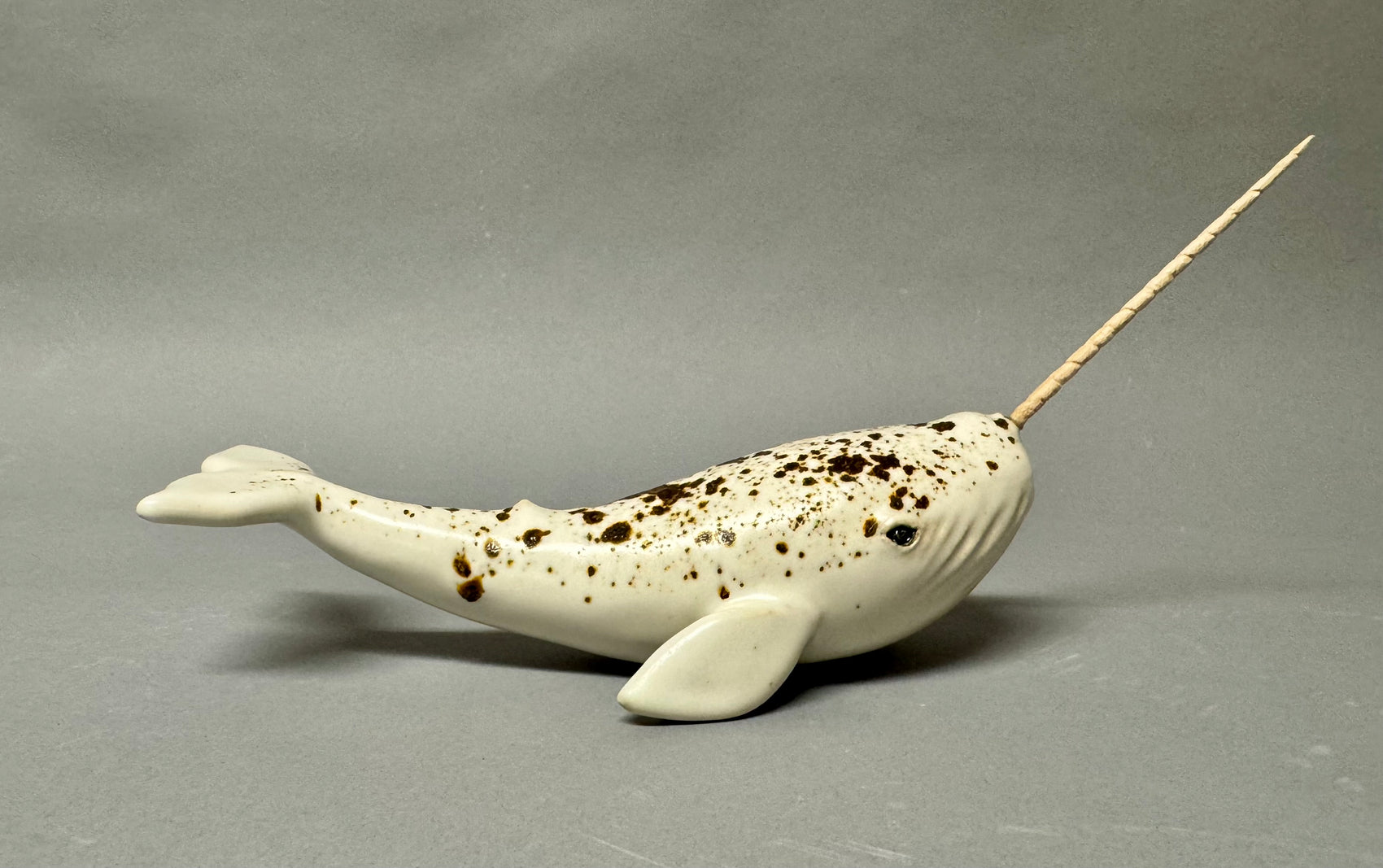 Narwhal