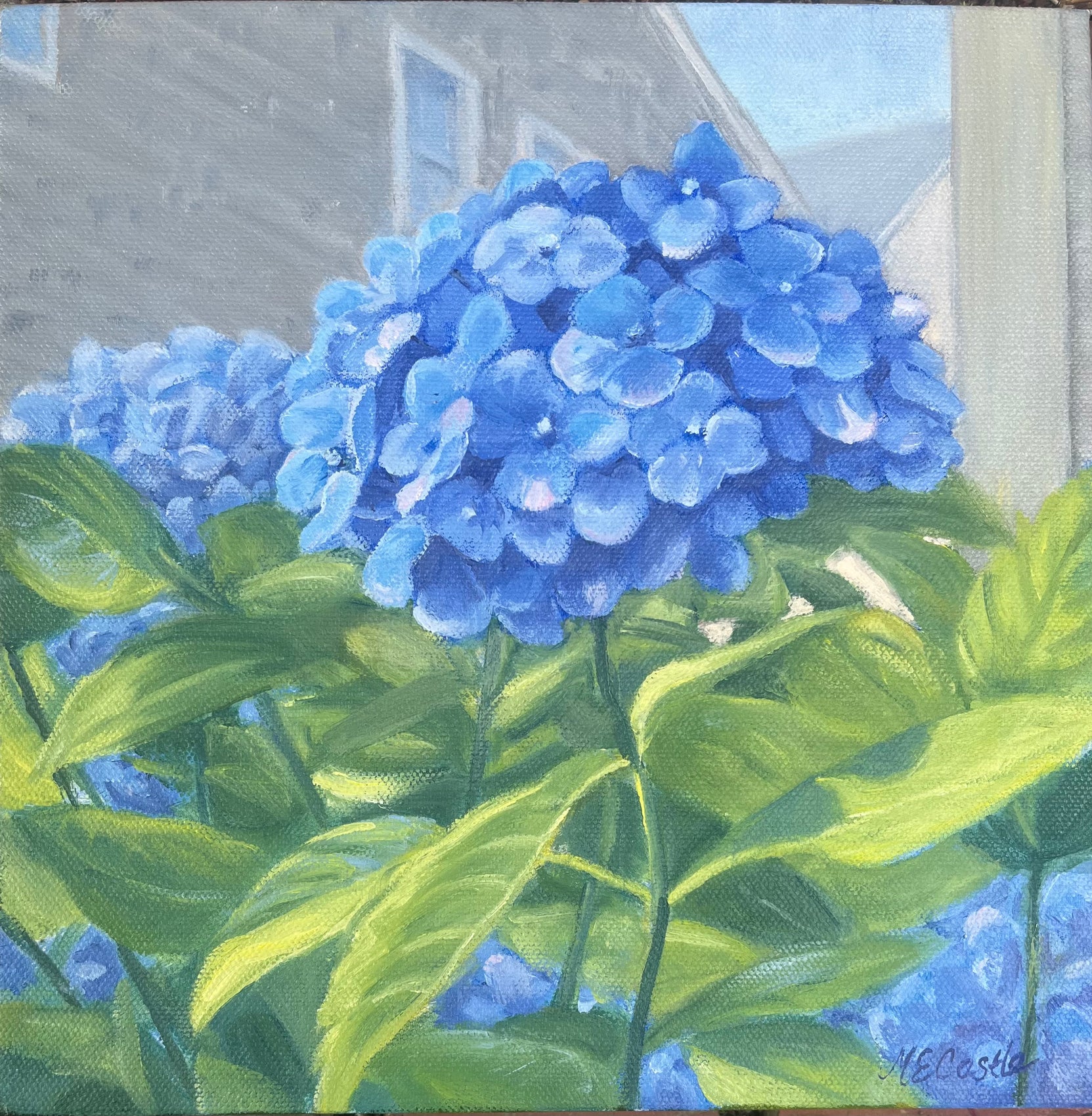 The Hydrangea 