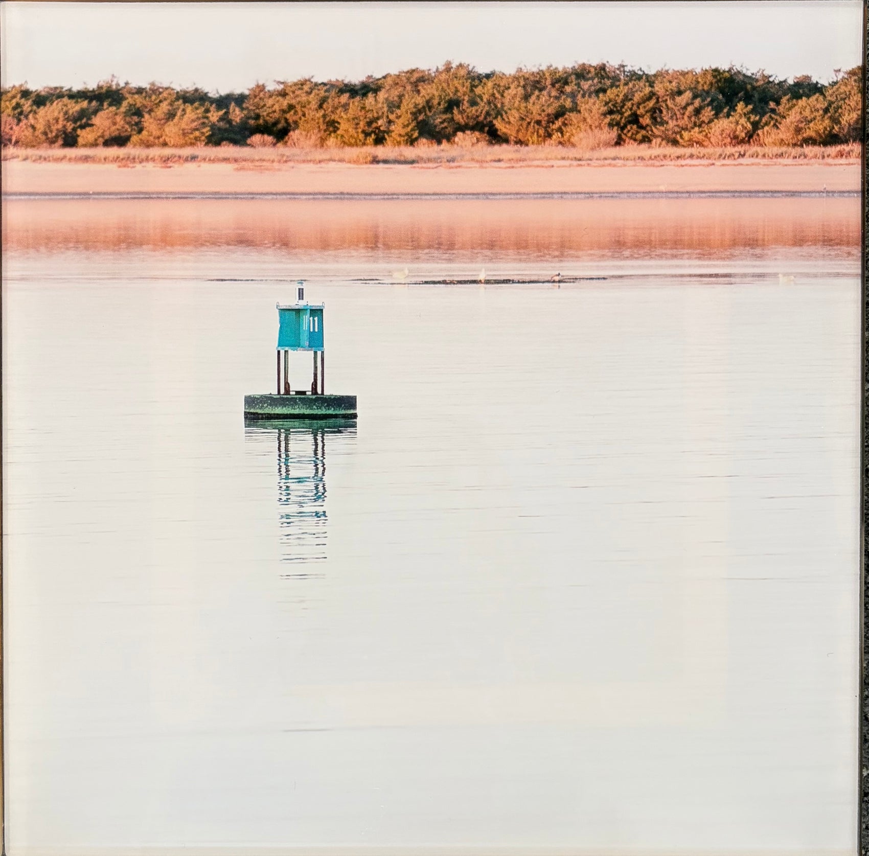 Green Buoy