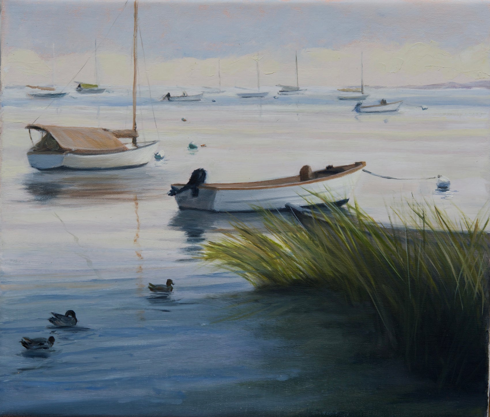 Harbor Morning