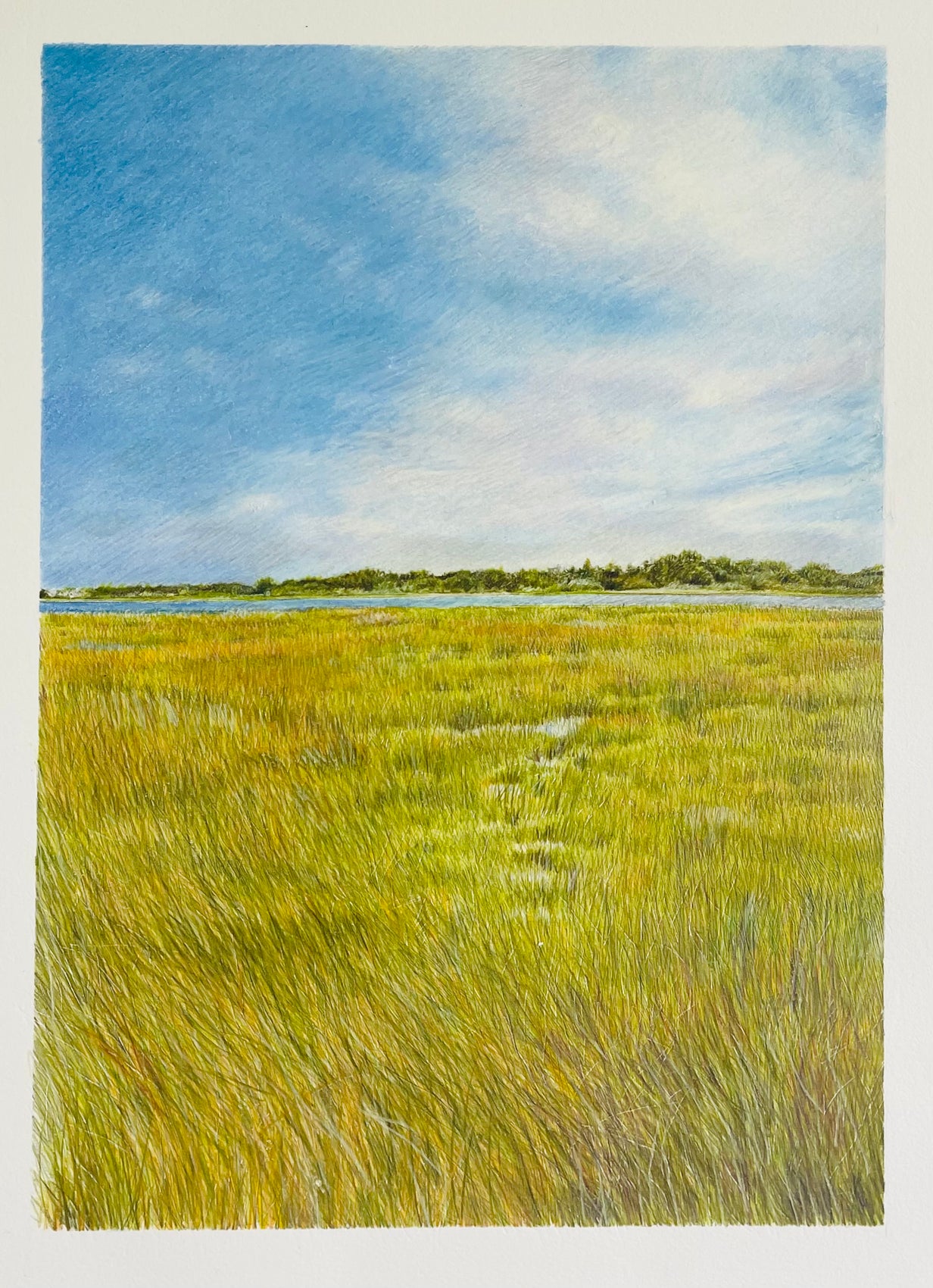 Sky, Earth, Sea & Marsh