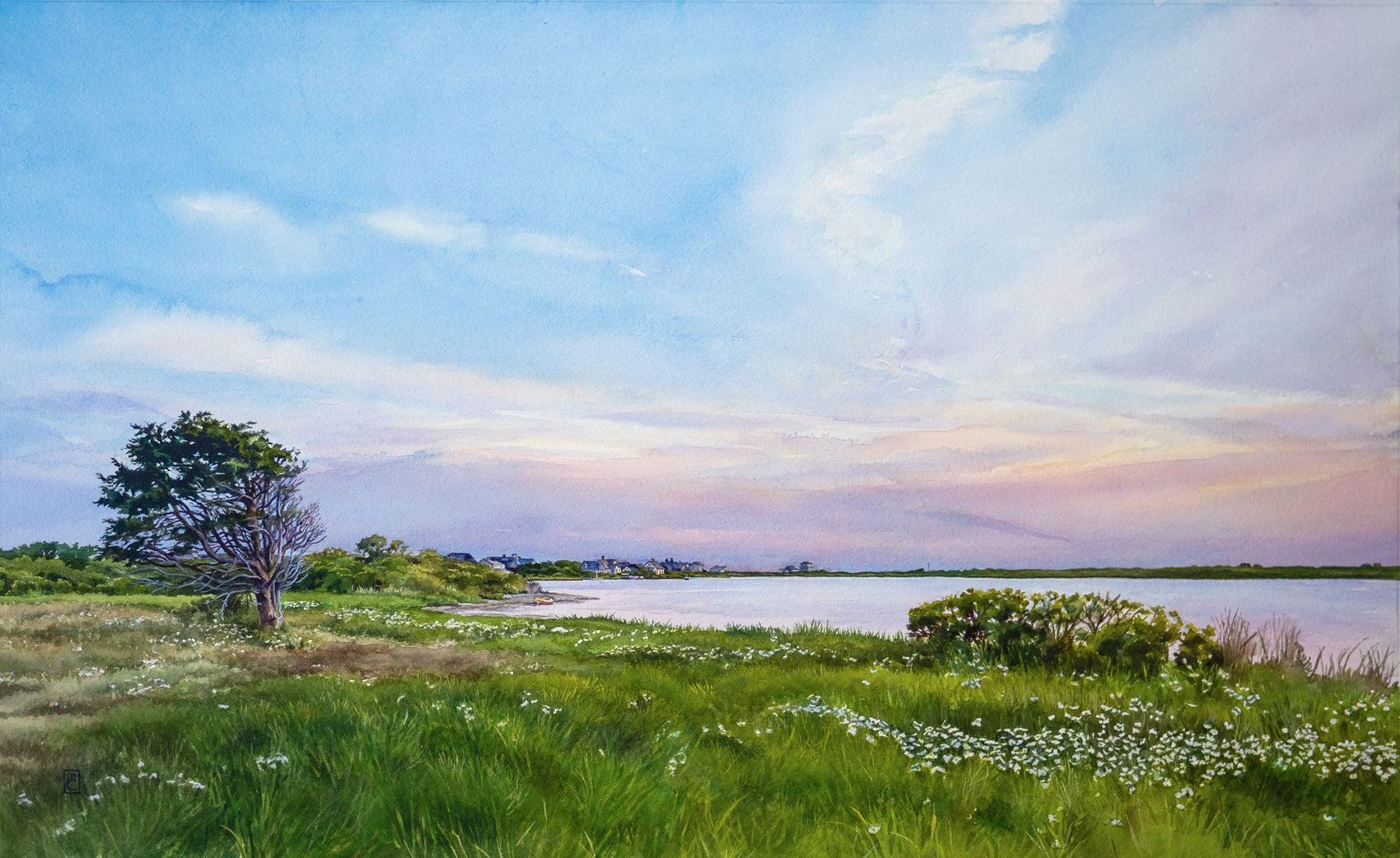 Summer Solstice on Hummock Pond