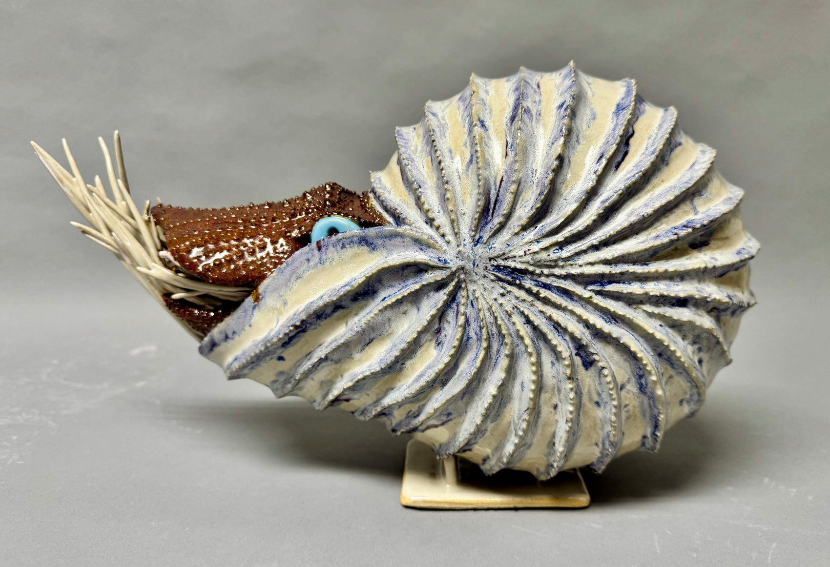 Nautilus