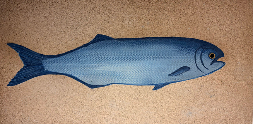 Bluefish On Beach