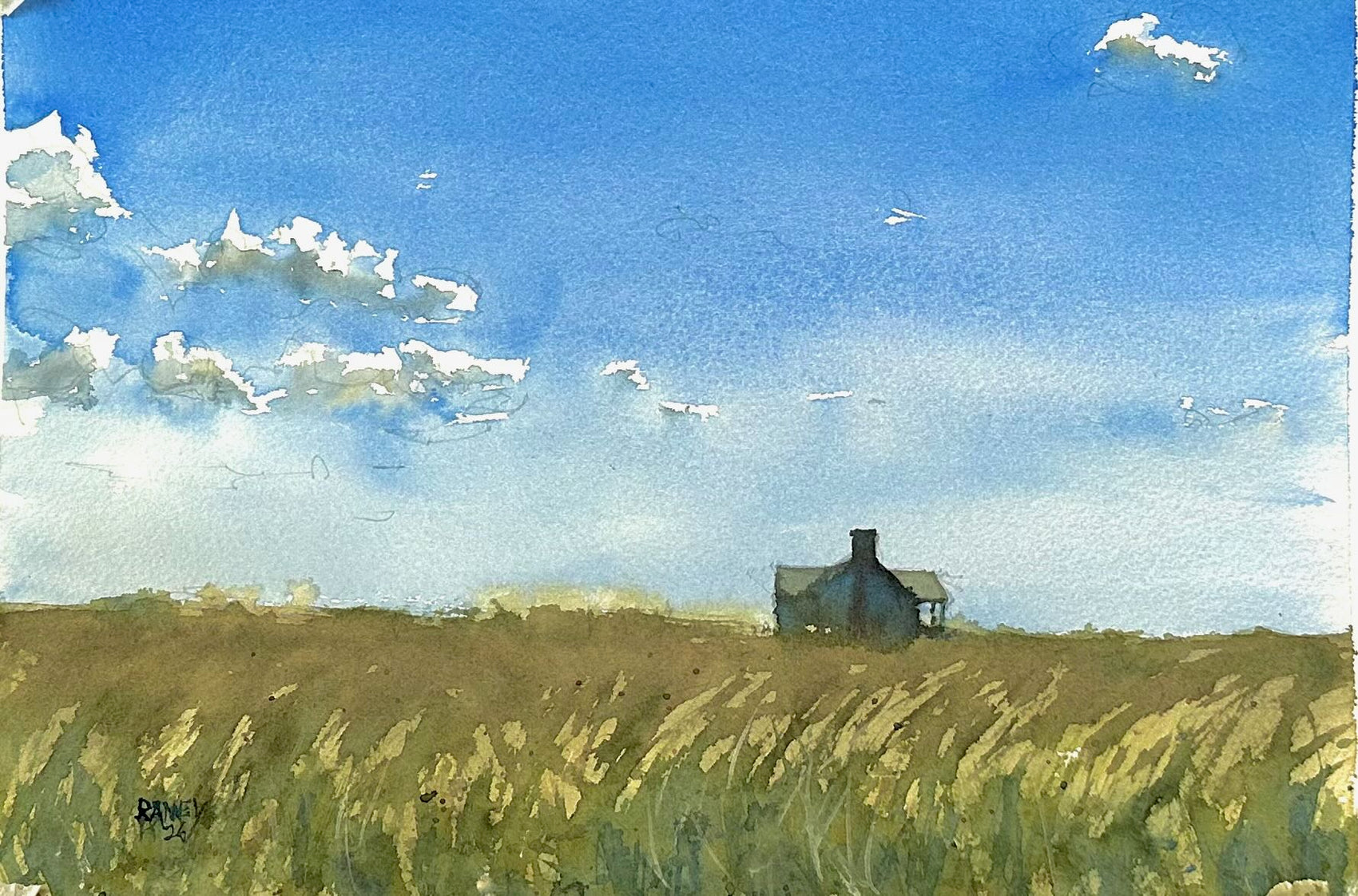 Sunny Day