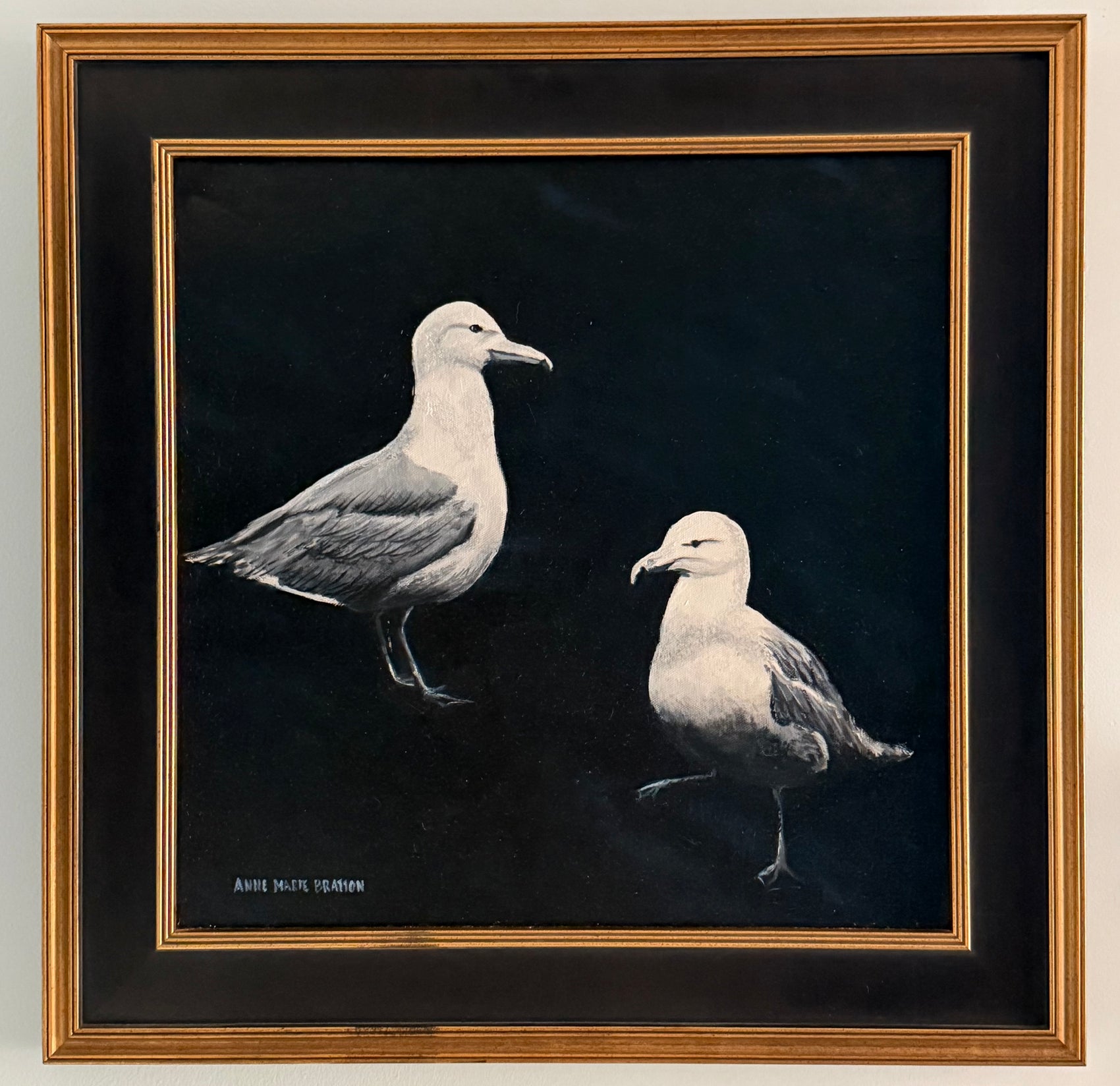 Seagulls in the Night