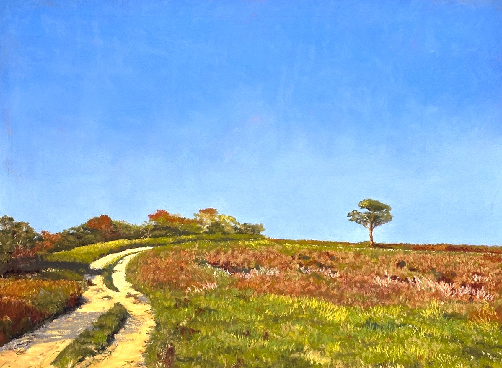 Springtime Near Altar Rock