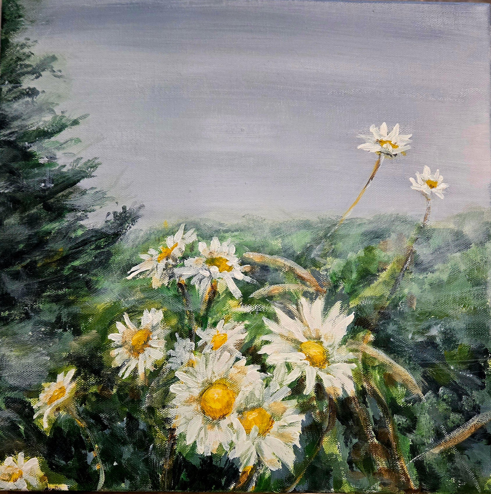 Hazy Daisies