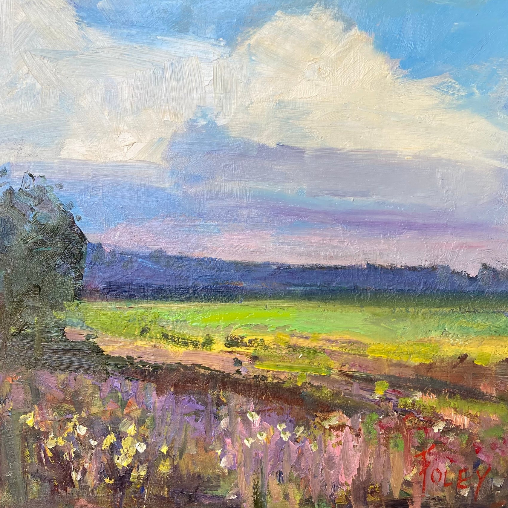 Summer Fields