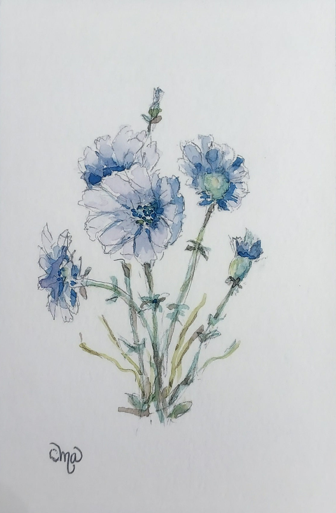 Wildflower