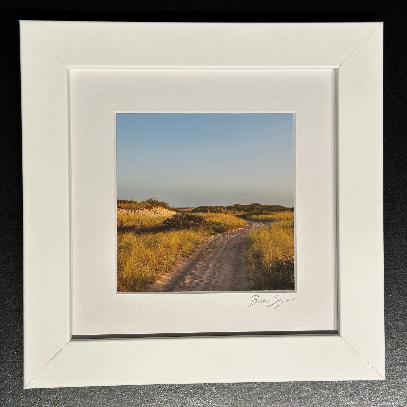 Low Beach Dunes No. 9355