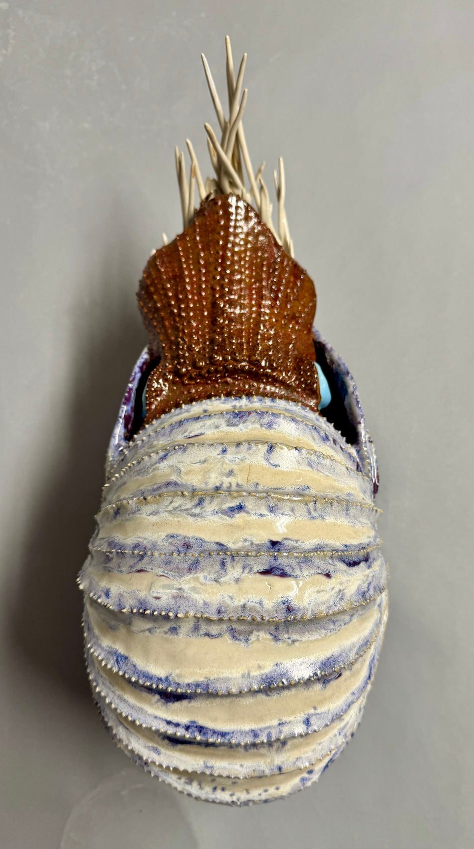Nautilus