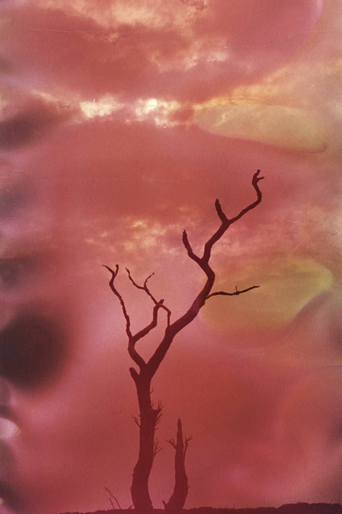 Burning Skies