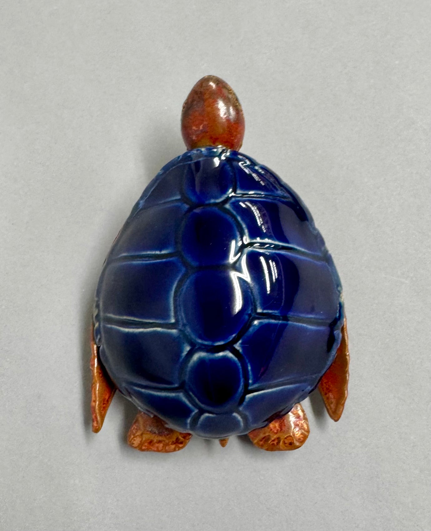 Sea Turtle