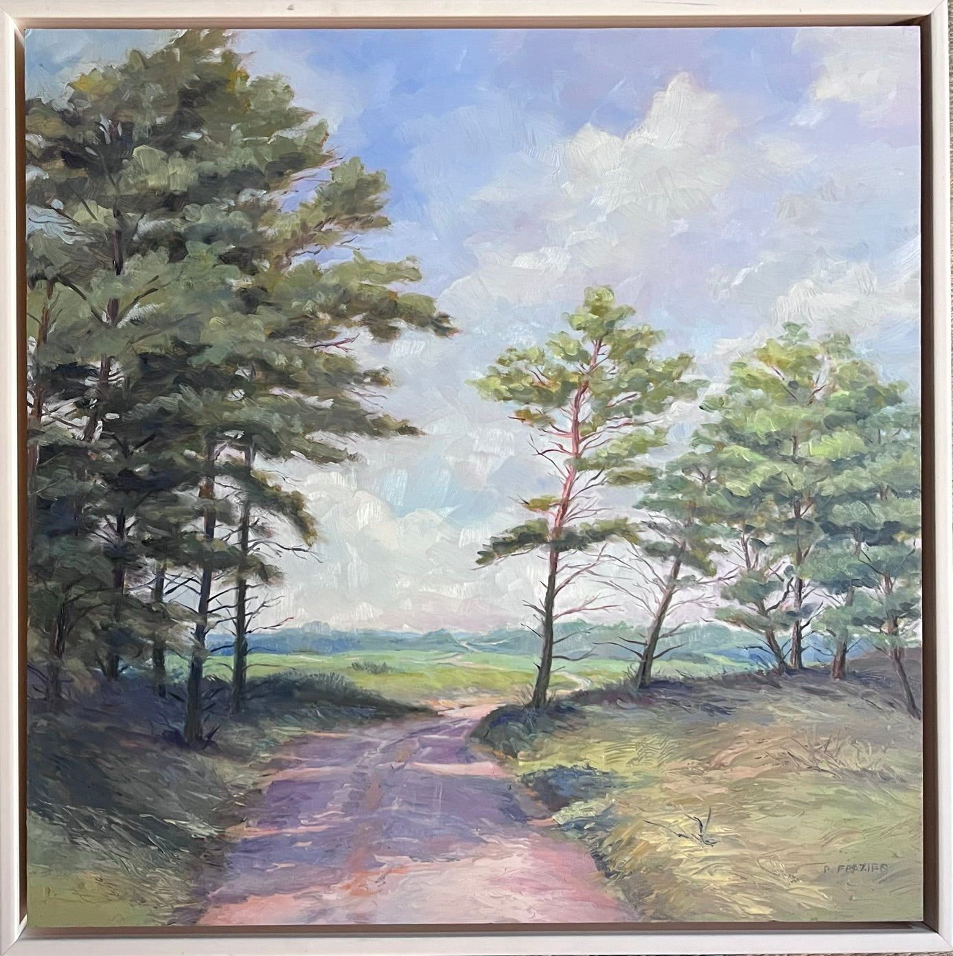 Stand of Pines