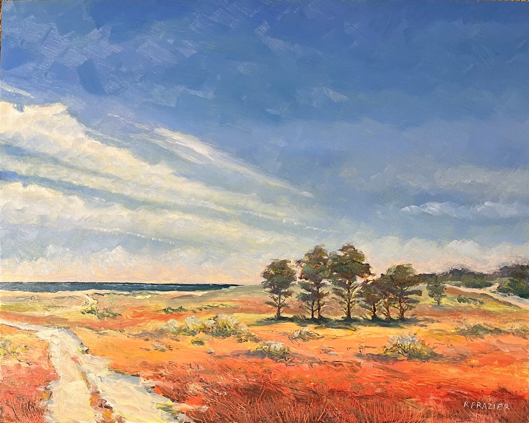 Sand Plains in Autumn