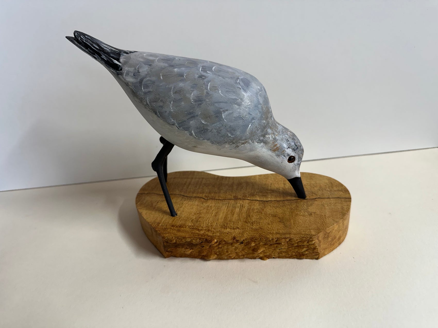 Sanderling