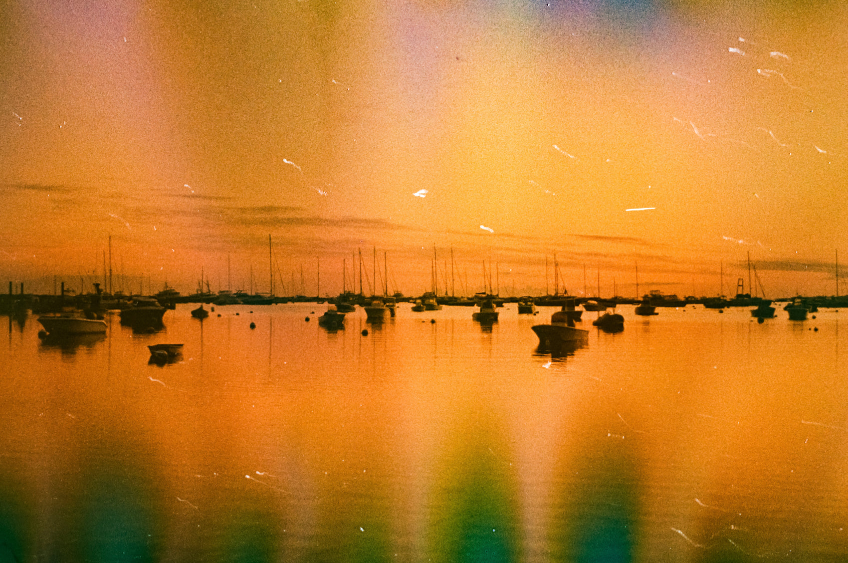 Summer Haze