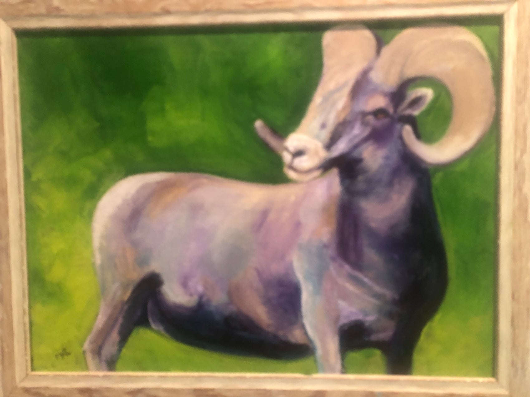 Glacier Big Horn Sheep