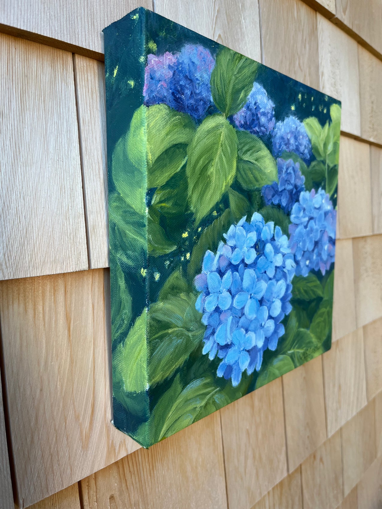 Blue Hydrangeas 