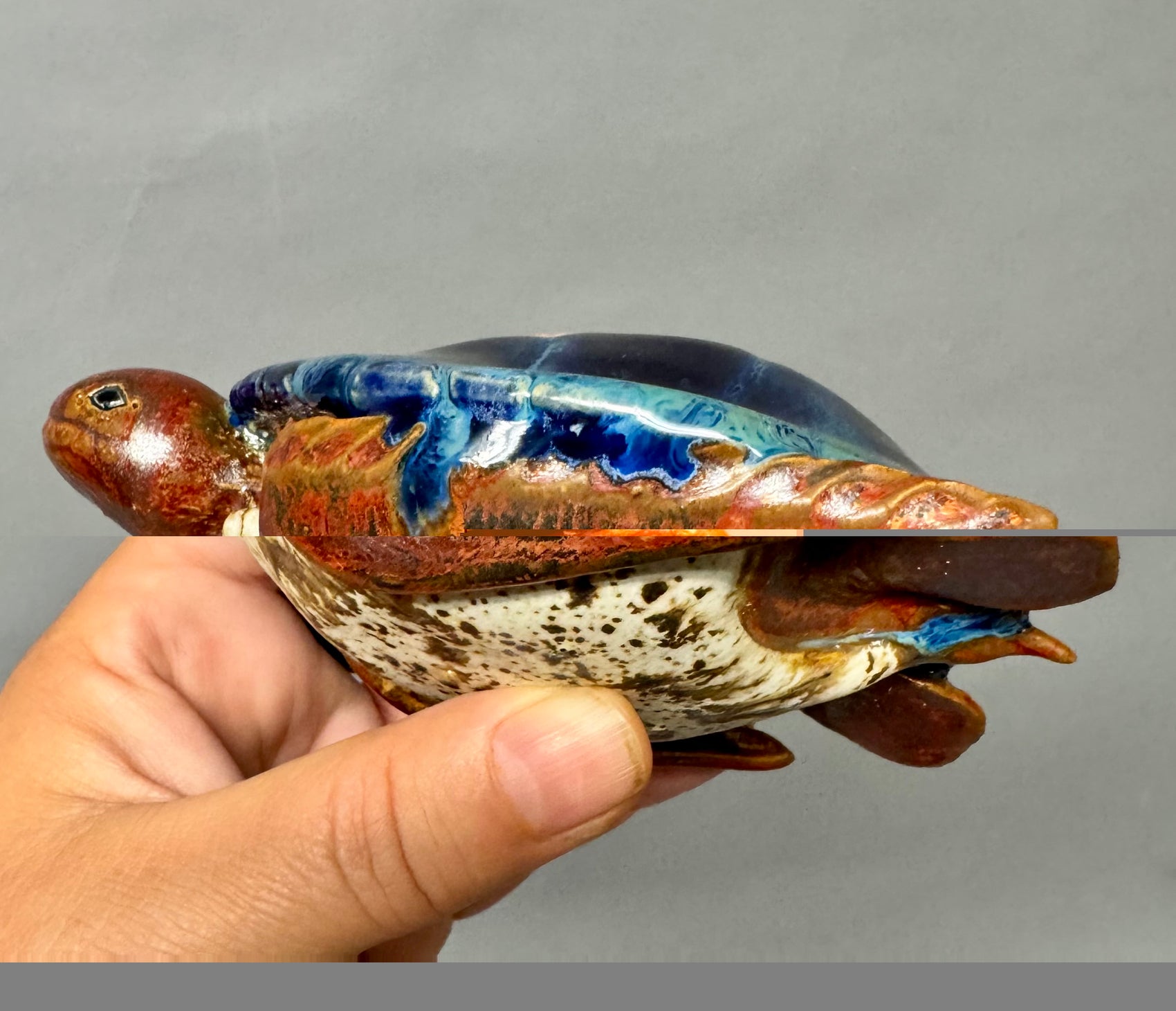 Sea turtle