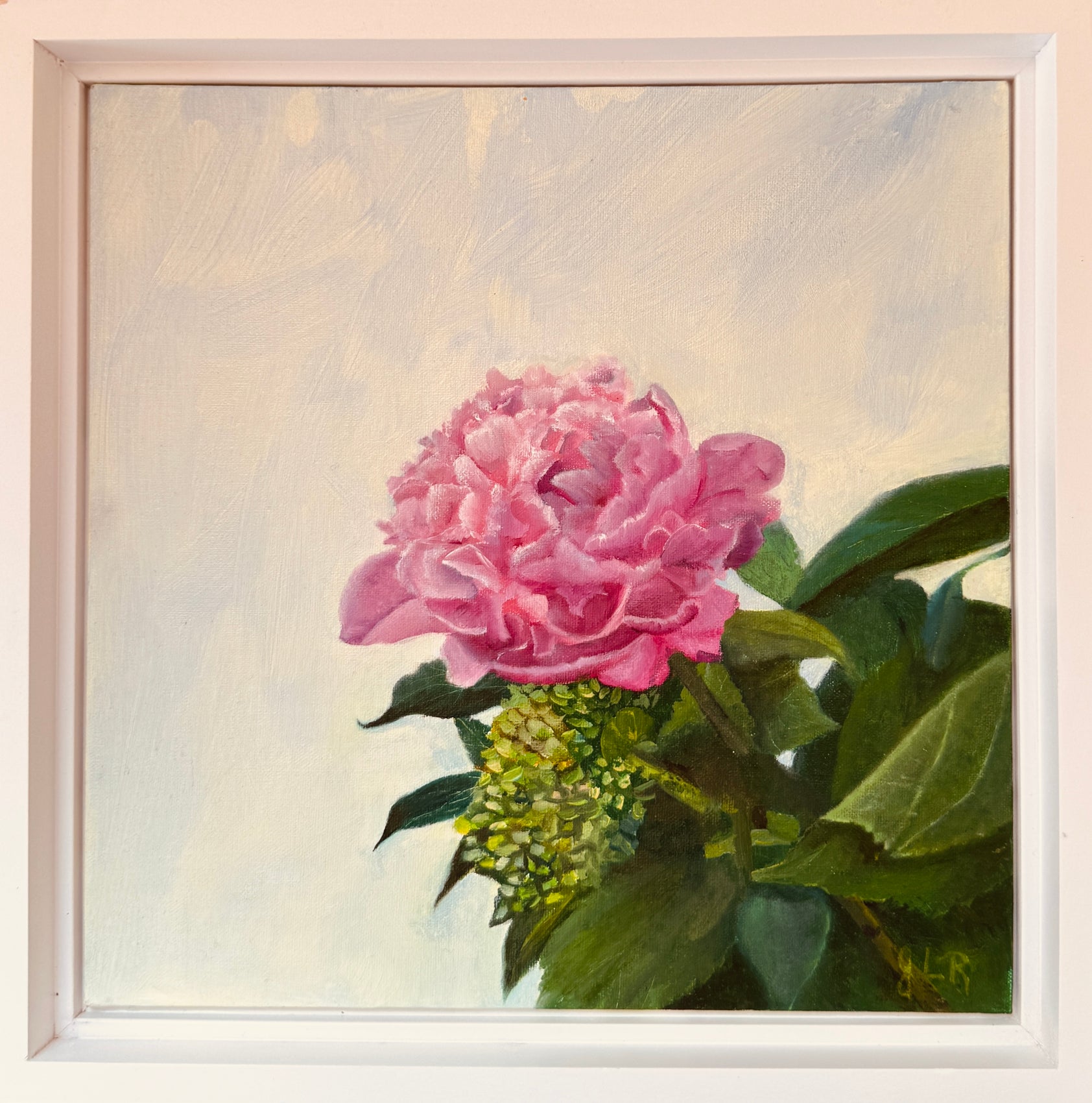 Peony!
