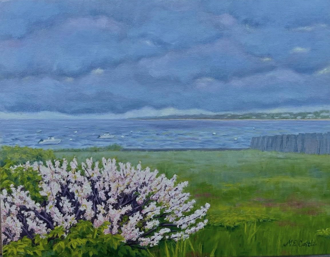 Spring Storm