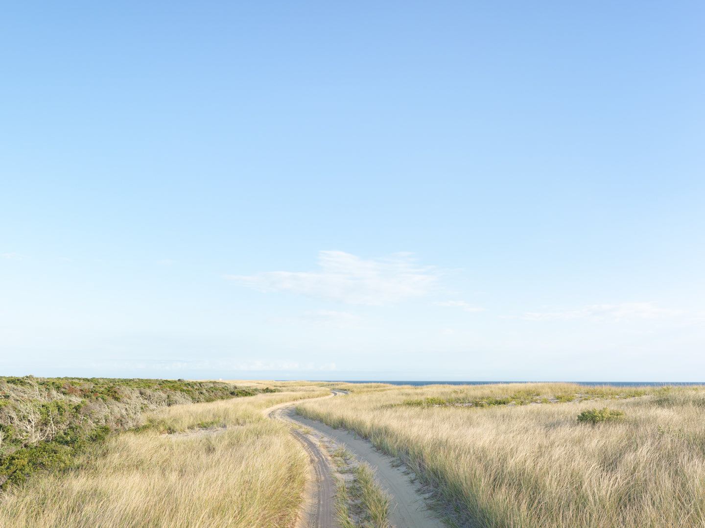Inside Road to Great Point