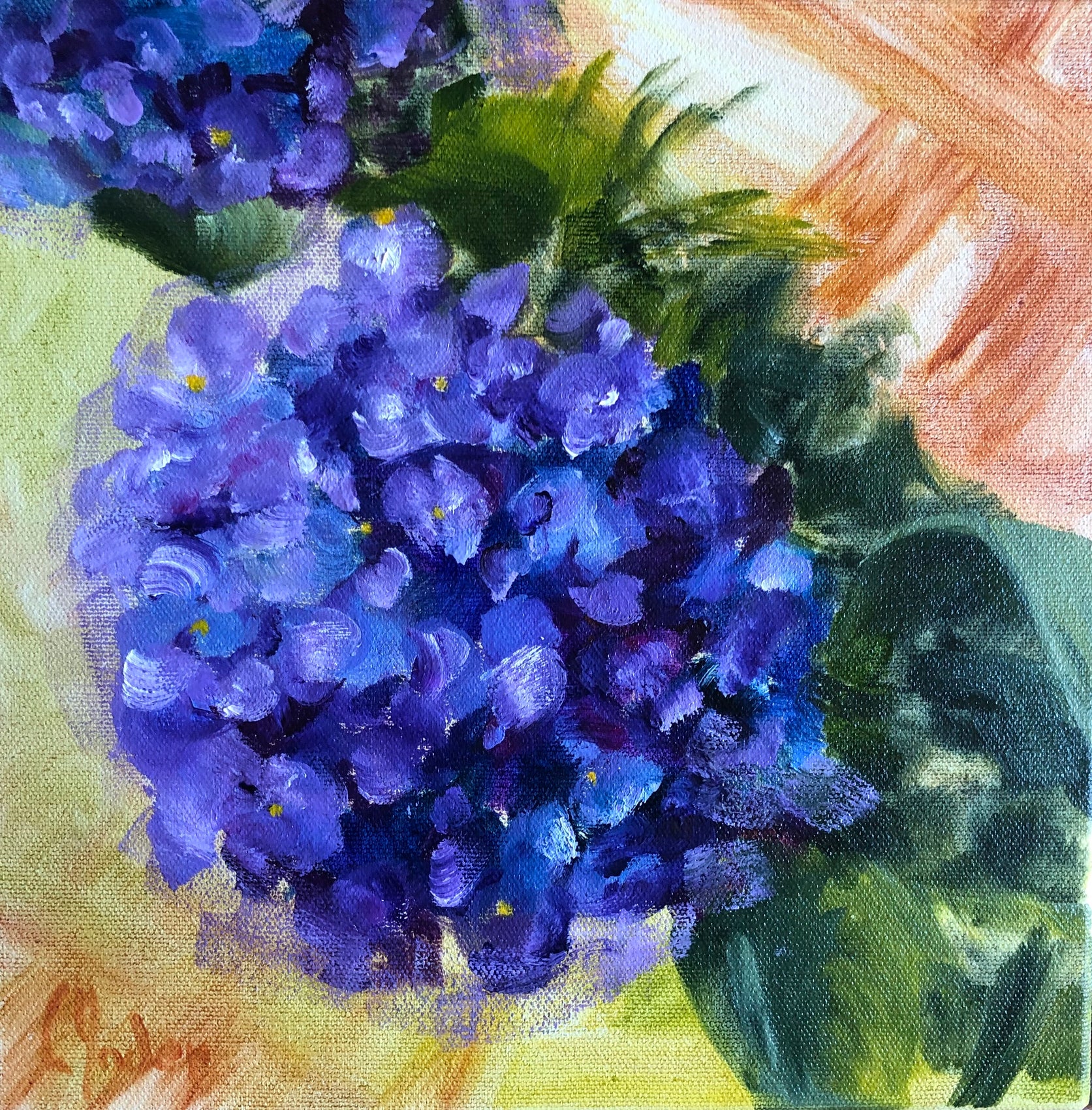 Purple Blooms