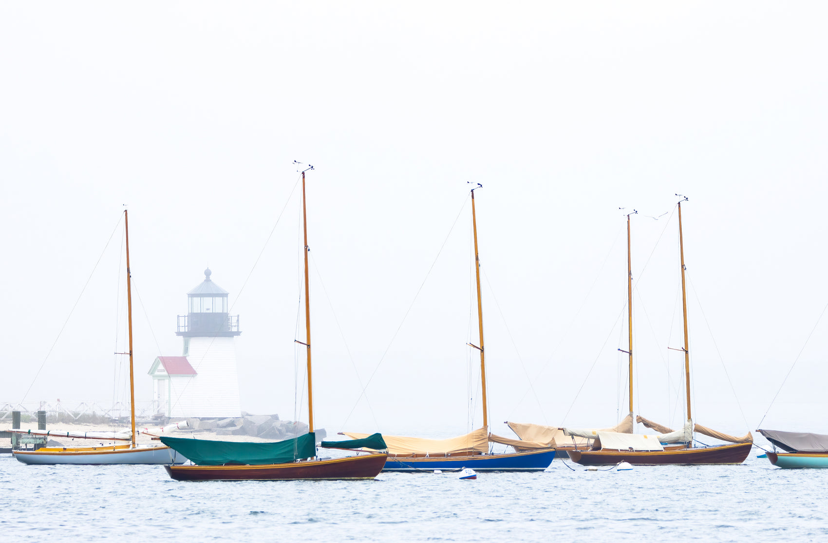 Misty Morning