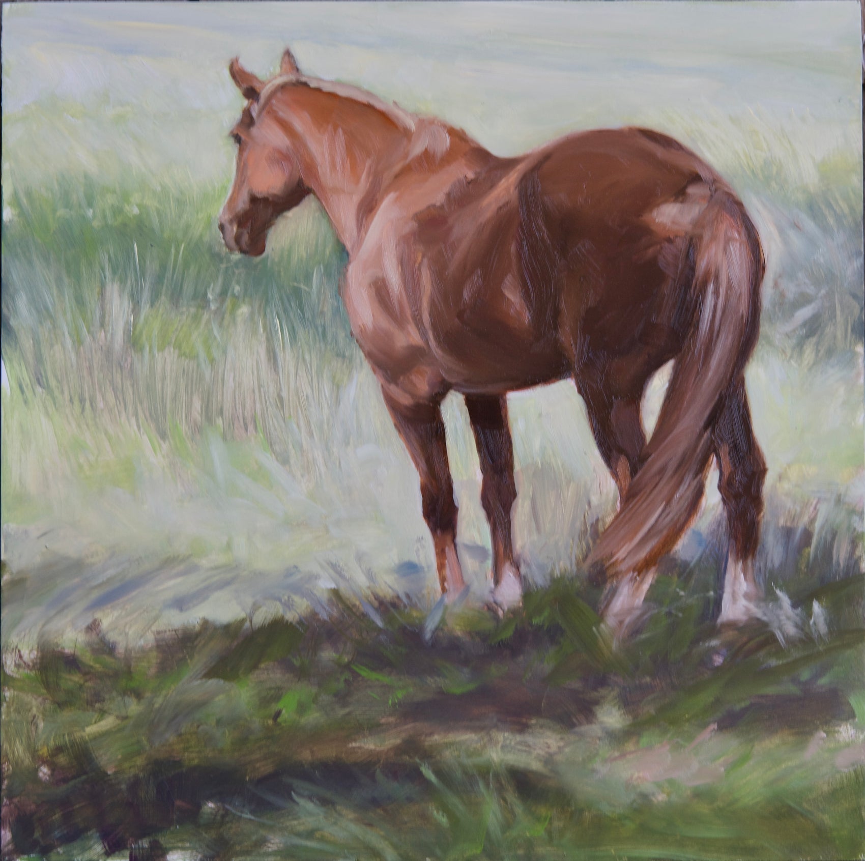 Summer Pasture