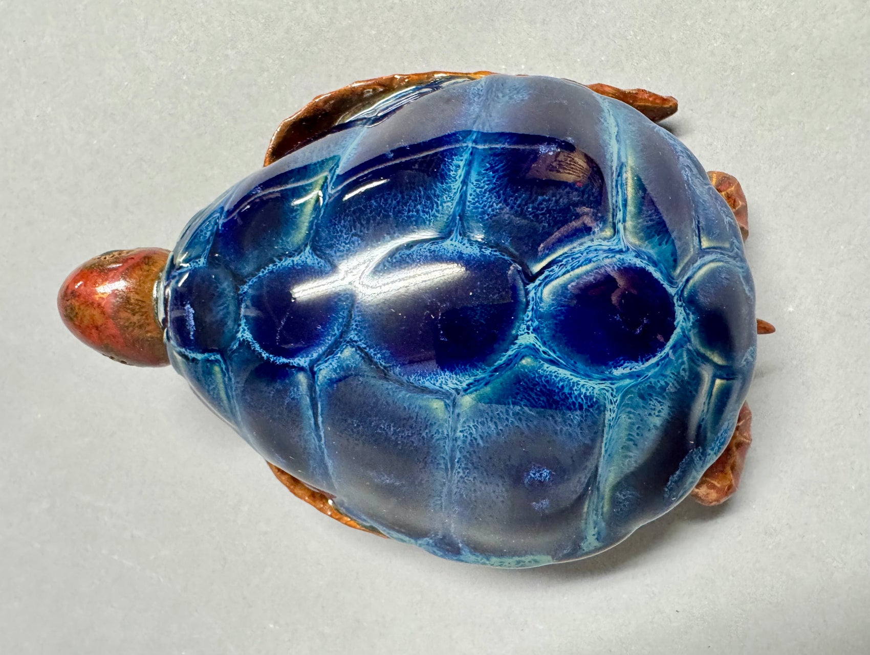 Sea turtle- cobalt blue