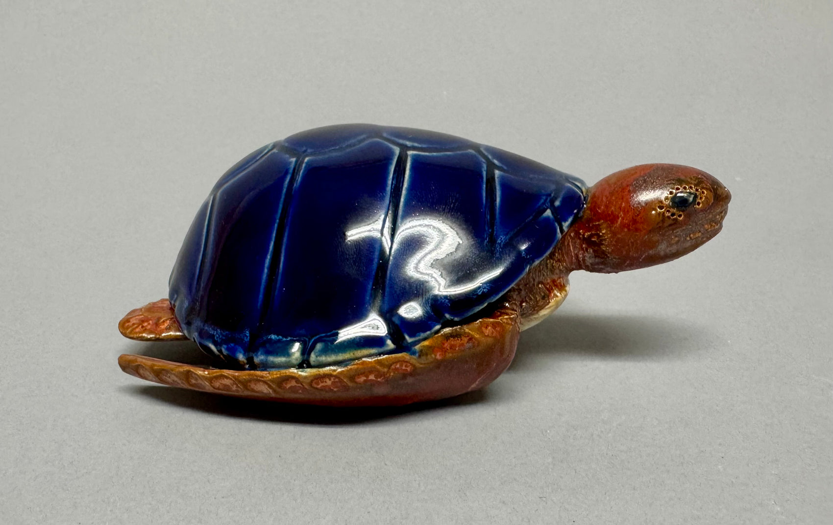 Sea Turtle