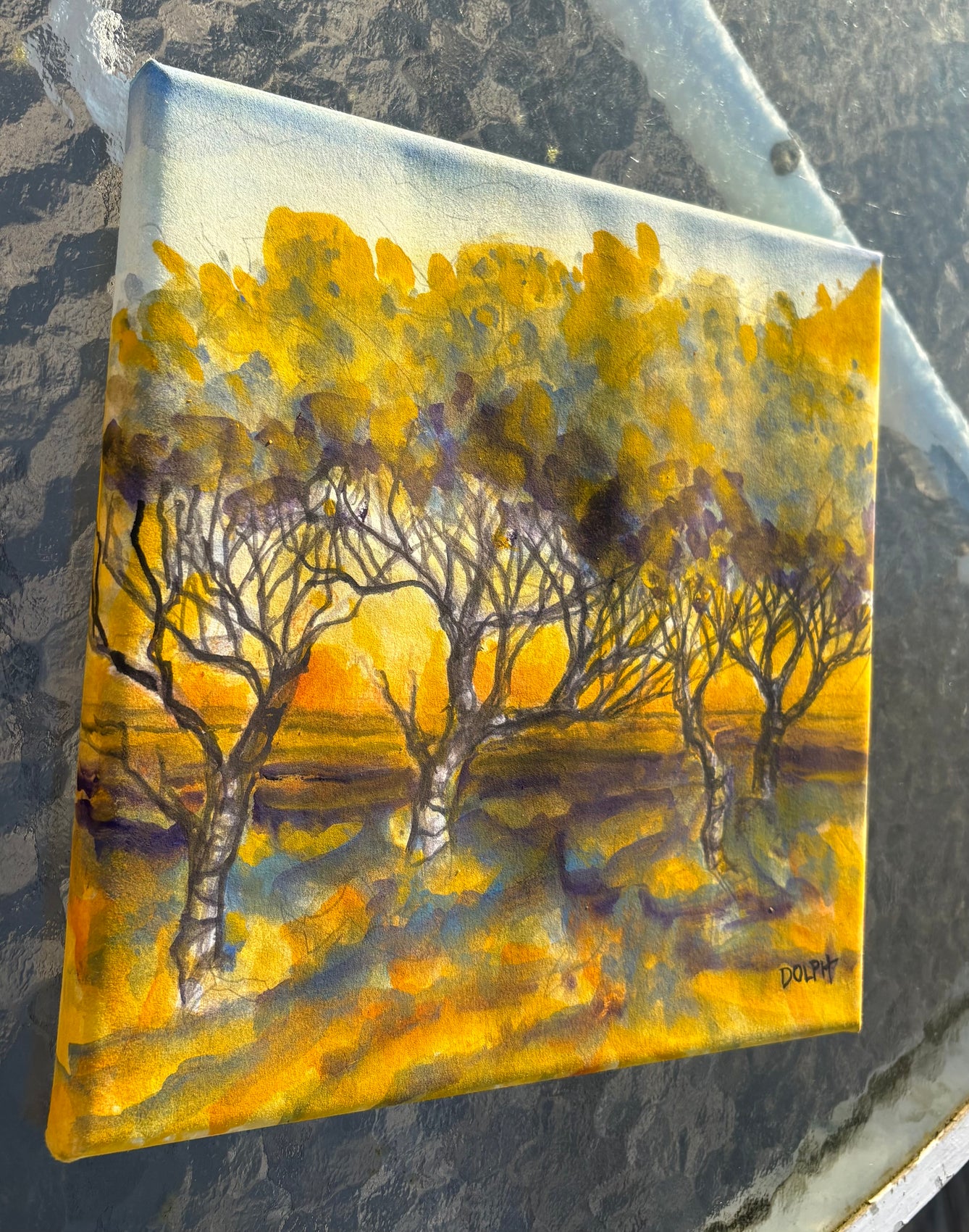 AM scrub oaks