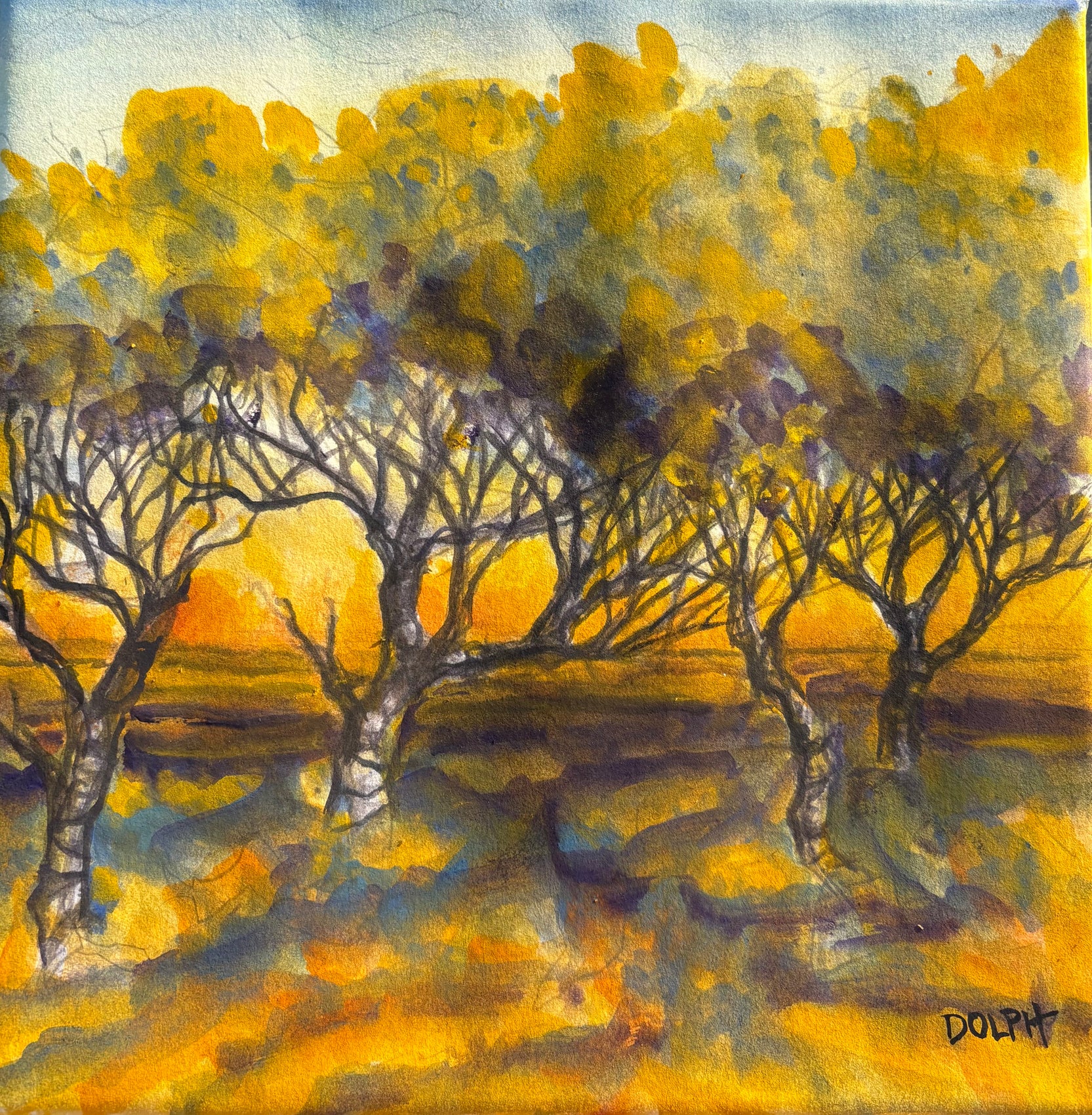 AM scrub oaks