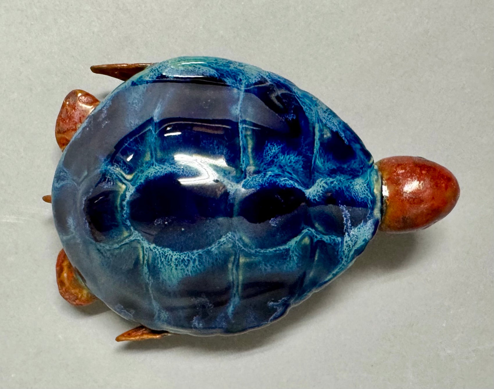 Sea turtle