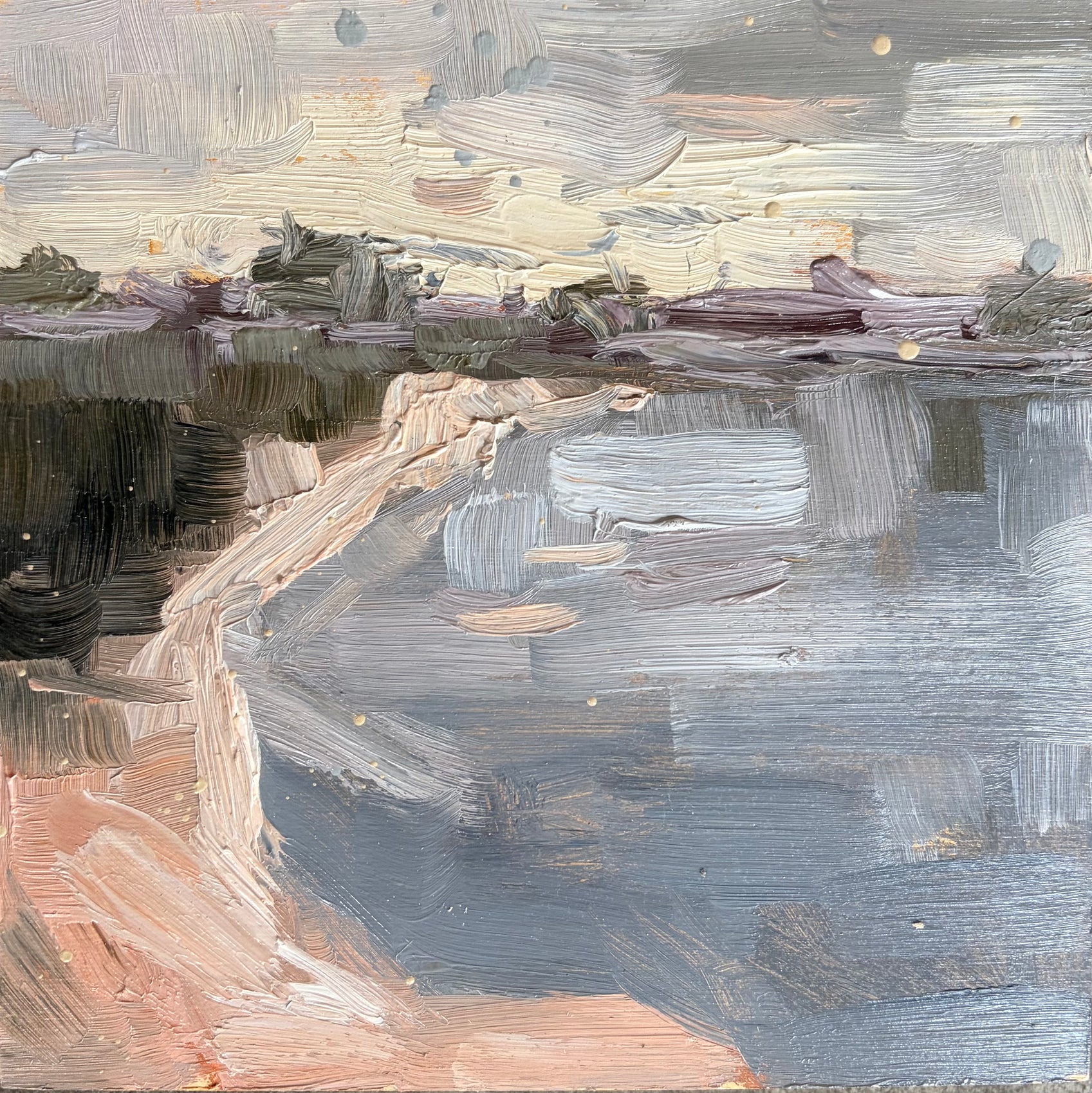 Rain On Miacomet Pond