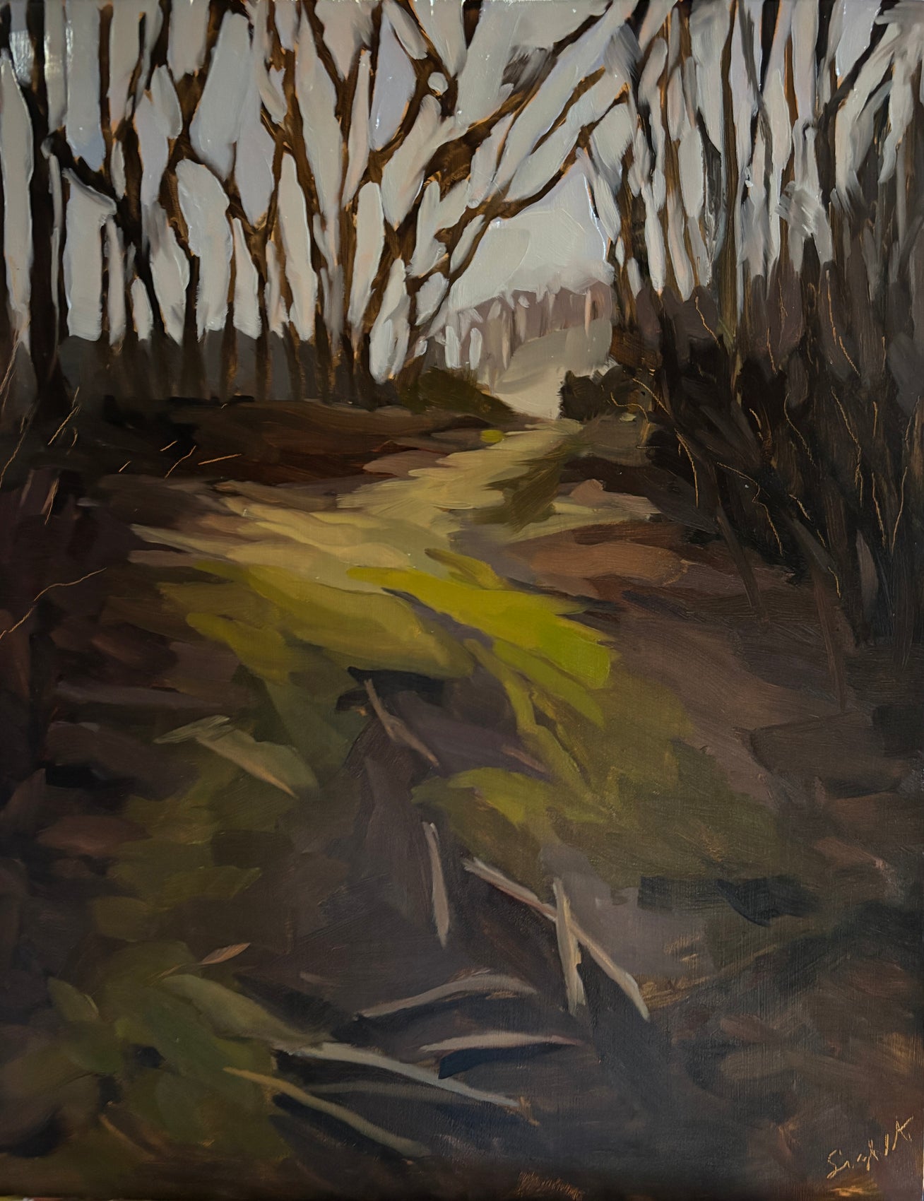 Spring Walk