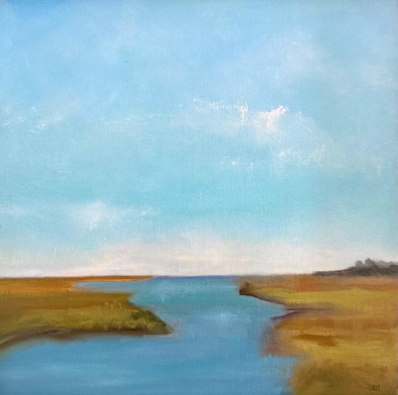 Madaket Marsh