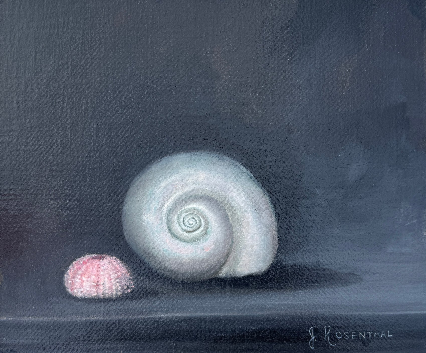 Still Life with Shells