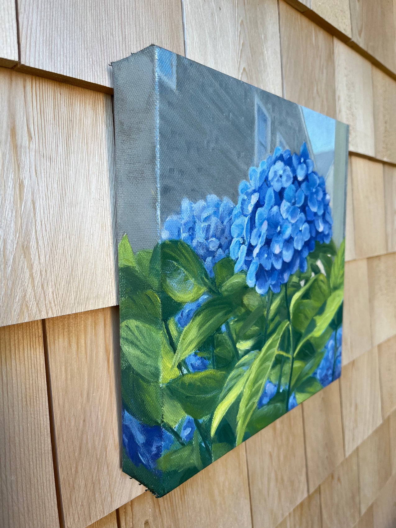One Hydrangea 