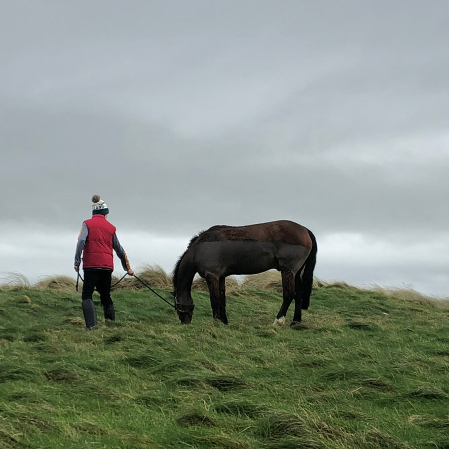 Ballyheigue, Ireland, Ready to Race