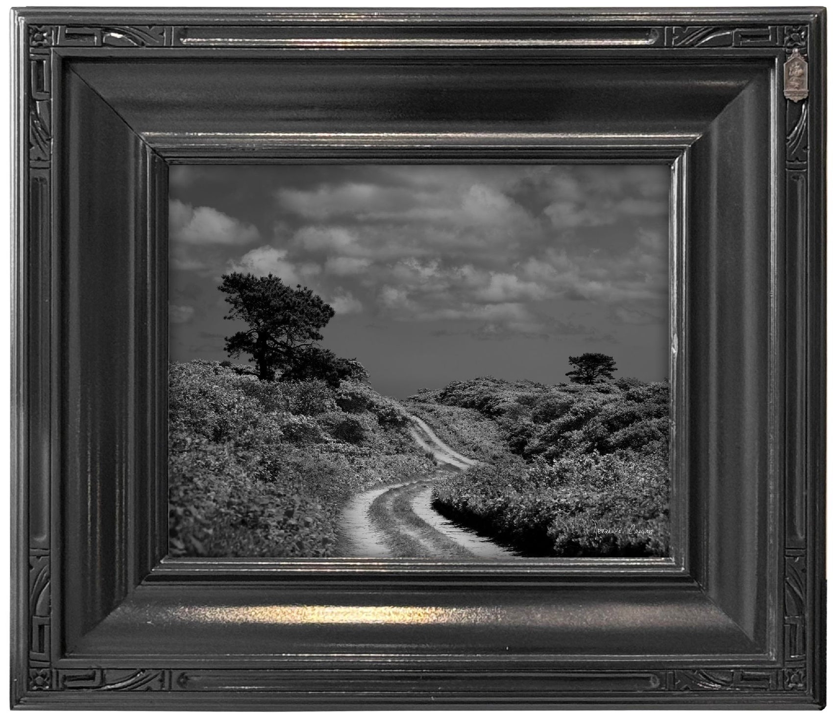 Road to Hidden Mile