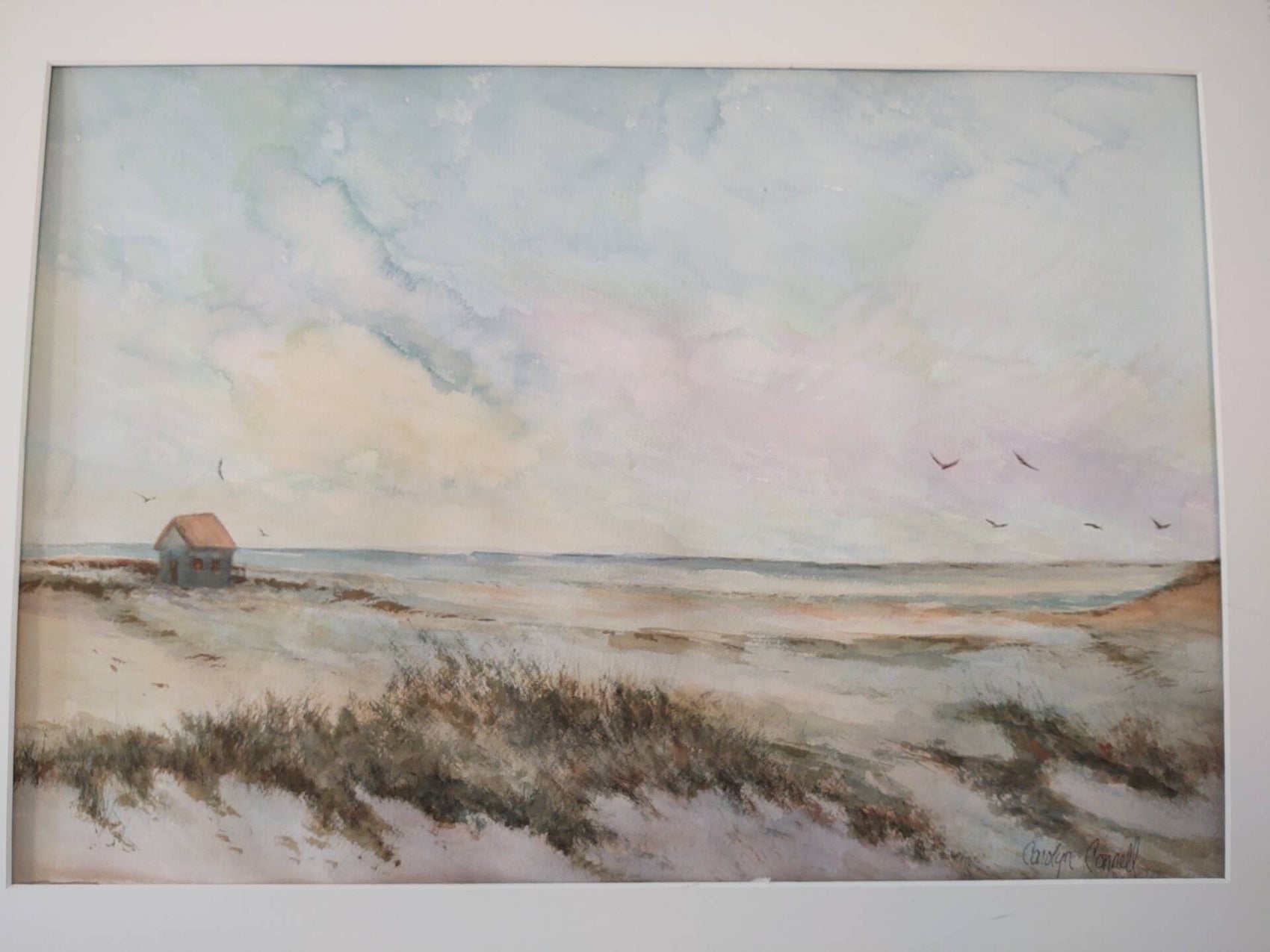 All About The Dunes