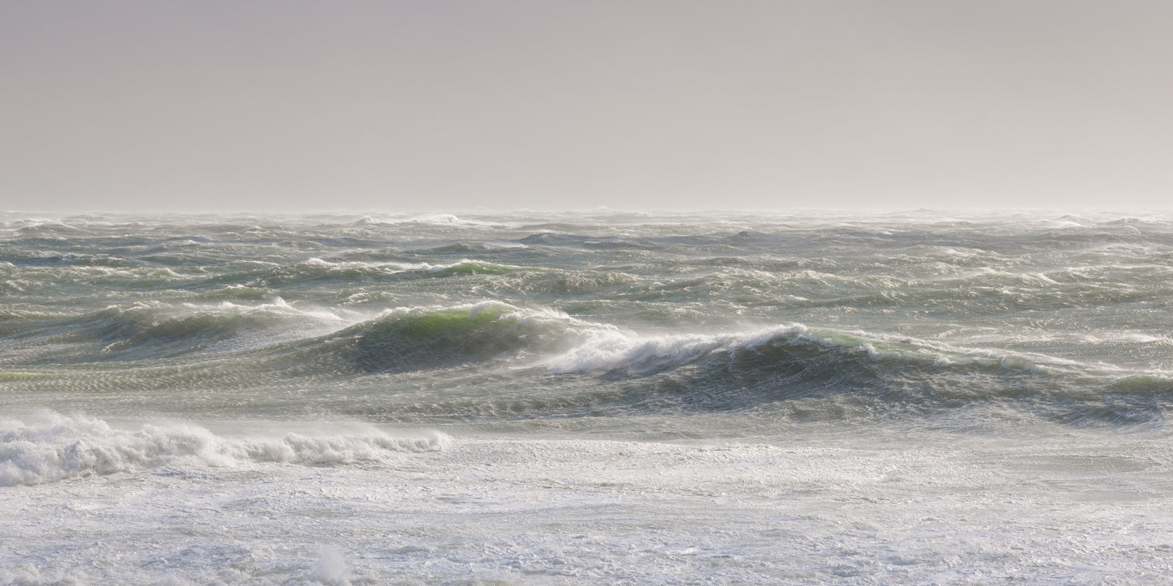 High Seas / February