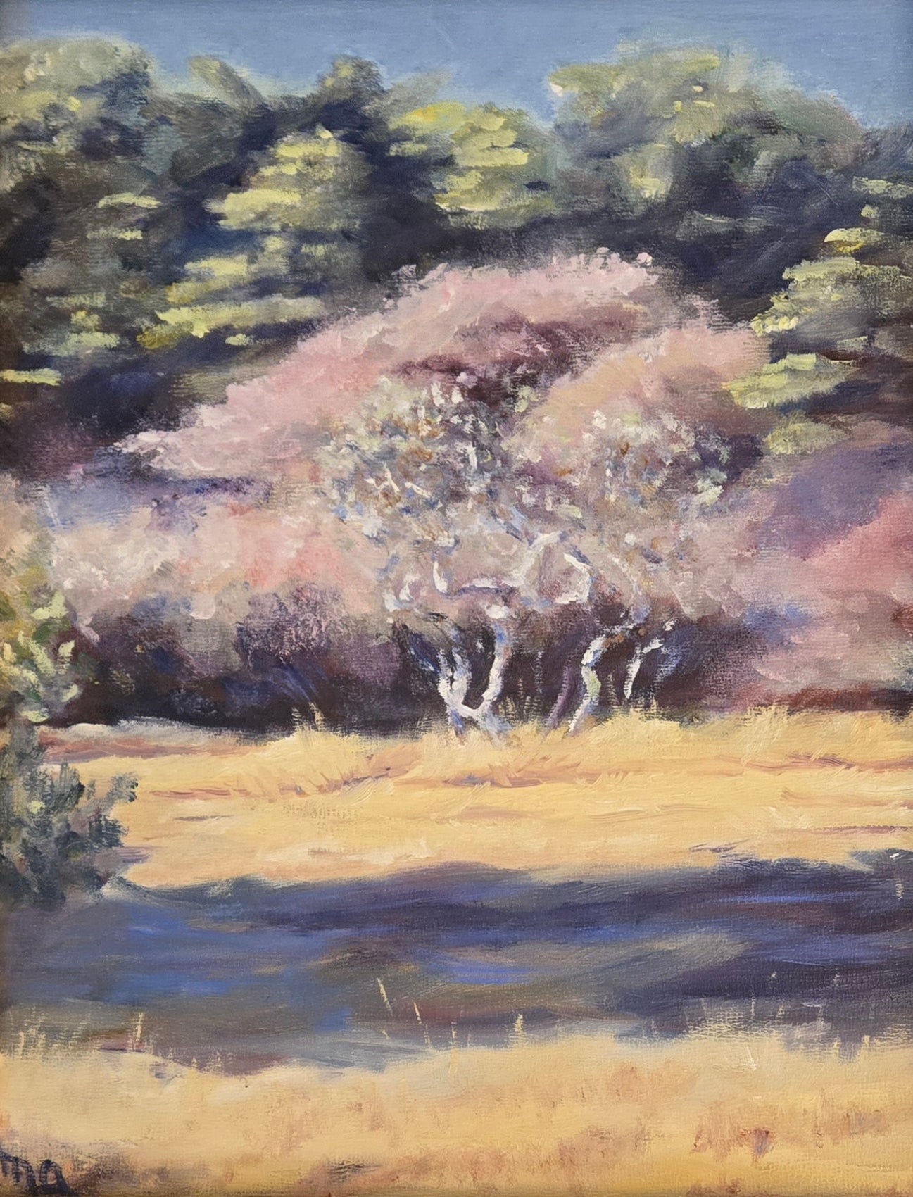 The Mizzenmast Meadow