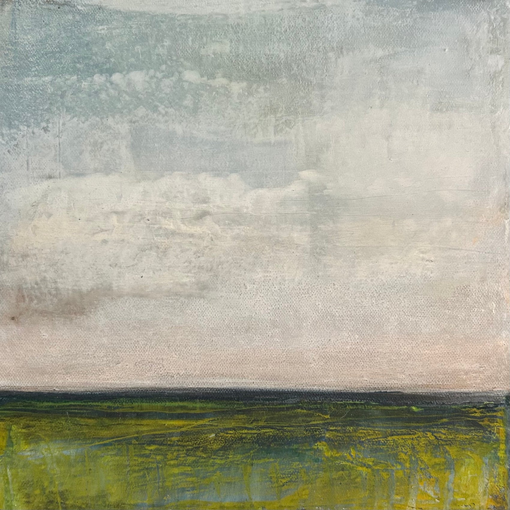 Folger’s Marsh in Spring